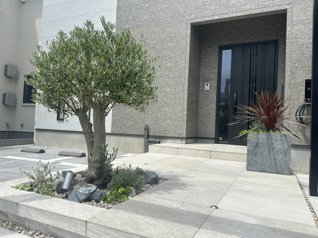 外構ライティング施工例｜オリーブのシンボルツリーとアプローチ照明で幻想的に映える玄関前の植栽