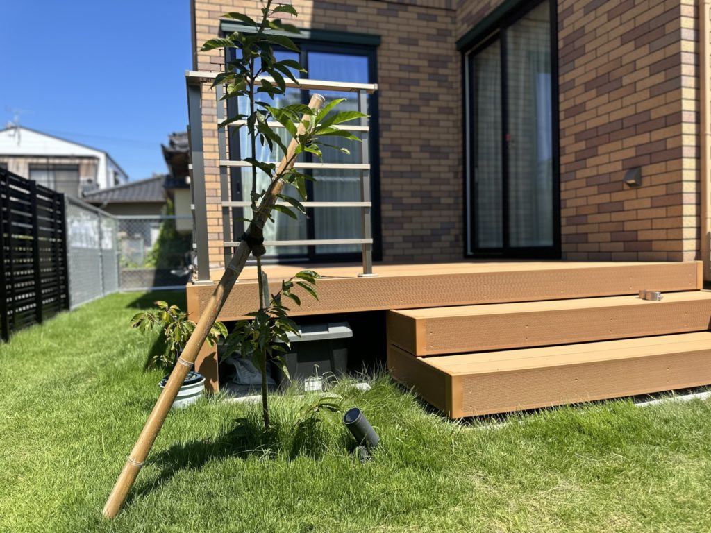 富士市の新築外構。天然芝と桜のシンボルツリーがあるドッグランスペース施工事例。