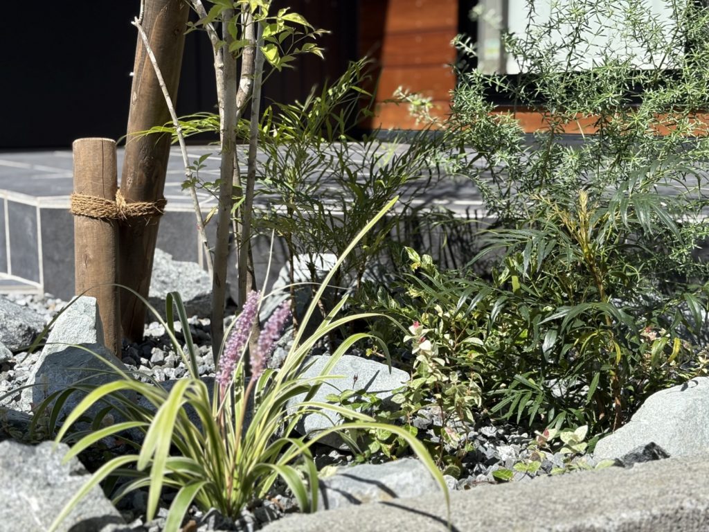 静岡市の新築外構｜機能門柱とアオダモを組み合わせたスタイリッシュな門まわりデザイン